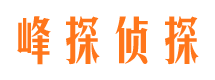 丰都市私家侦探